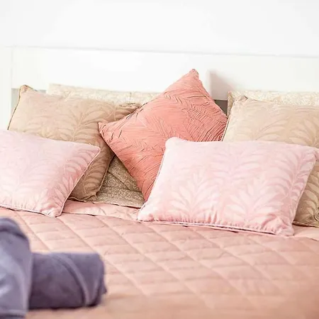 Appartement New Centro De Con Parking