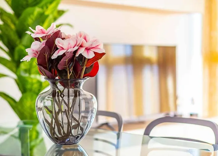 New Centro De Con Parking *