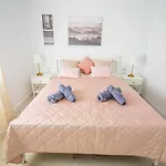 New Centro De Con Parking Appartement